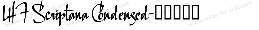 LHF Scriptana Condensed字体转换